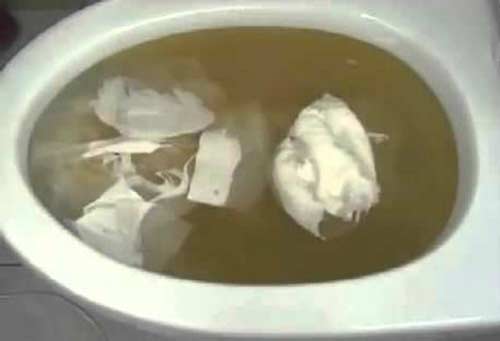 thông tắc bồn cầu tại nhà